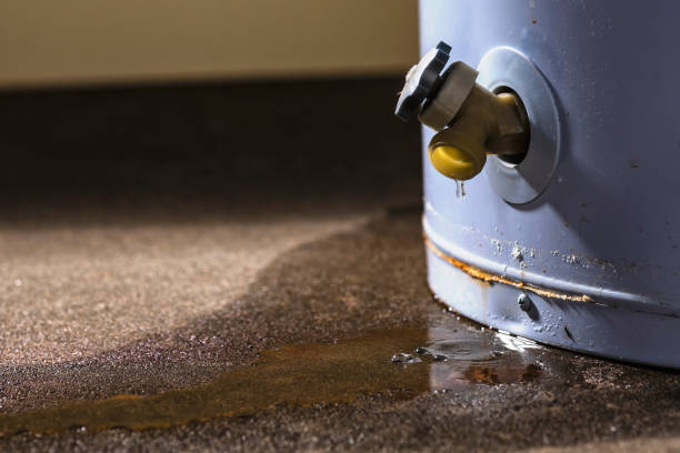 Best Basement water damage restoration  in Lakewood Ranch, FL
