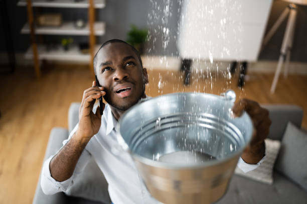 Best Local water damage restoration  in Lakewood Ranch, FL