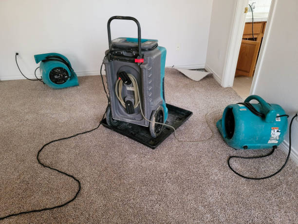Best Sewage cleanup and water damage restoration  in Lakewood Ranch, FL