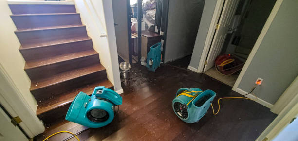 Professional Water damage restoration in Lakewood Ranch, FL