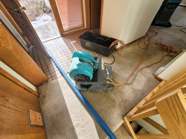 Best Ceiling water damage repair  in Lakewood Ranch, FL