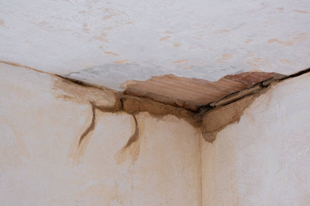 Best Water damage contractors near me  in Lakewood Ranch, FL