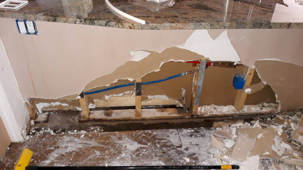 Best Water damage restoration experts  in Lakewood Ranch, FL
