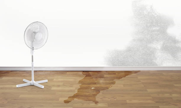 Water damage restoration mold remediation in Lakewood Ranch, FL