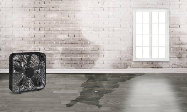 Carpet water damage restoration in Lakewood Ranch, FL