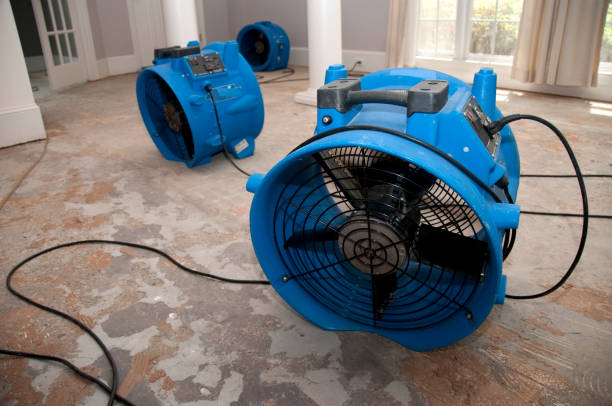  Lakewood Ranch, FL Water damage restoration Pros