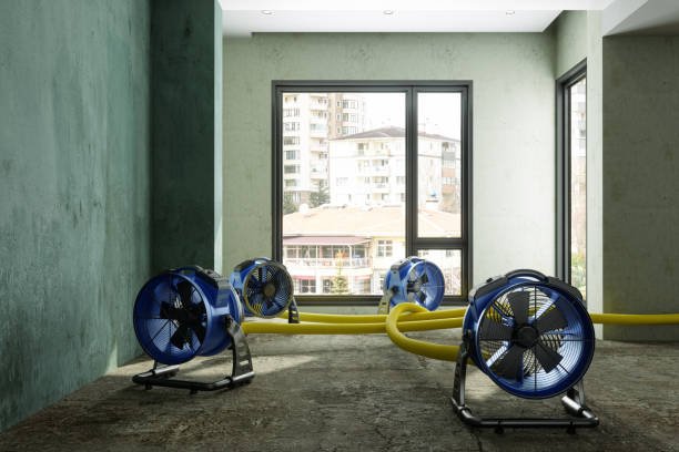 Best Water damage restoration near me  in Lakewood Ranch, FL