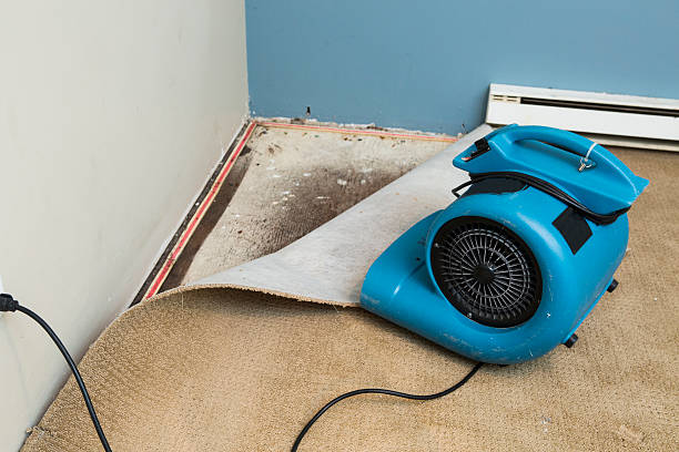Best Residential water damage restoration  in Lakewood Ranch, FL